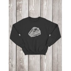 Свитшот мужской с принтом унисекс толстовка без капюшона