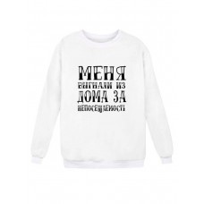 Модный свитшот - толстовка без капюшона с принтом "Меня выгнали из дома за непосещаемость"