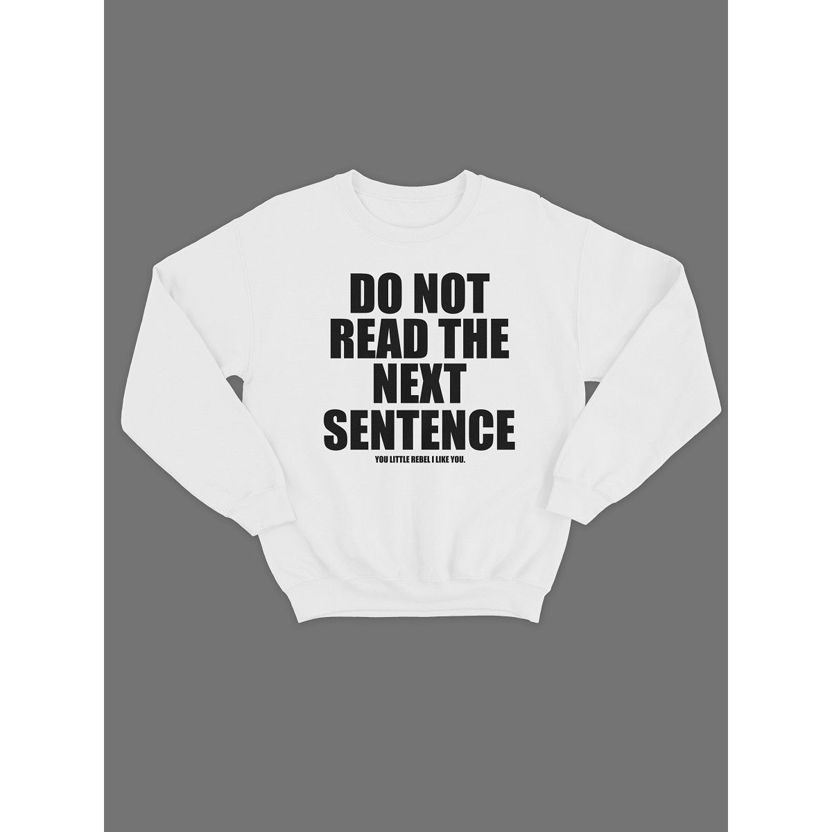 Модный свитшот - толстовка без капюшона с принтом "Do not read the next sentence"